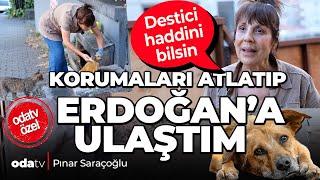 Korumaları atlatıp Erdoğan'a ulaştım! Destici haddini bilsin... O hayvansever Odatv'ye konuştu