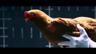 Mercedes Chicken - MAGIC BODY CONTROL - Funny Very Amazing Commercial