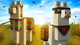 Everything You Need To Know About LLAMAS In Minecraft!