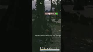 Русский турист доездился#boroda#pubg #shorts