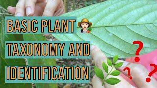 EP 2: Plant Taxonomy and Identification