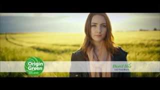 Origin Green: OFFICIAL Bord Bia 2013 Sustainability Development Programme