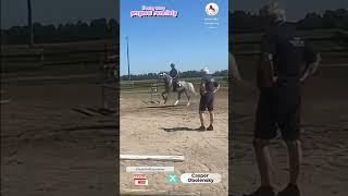 #TeamPiaffEquestrian Treningowo Reńska Wieś 14.08.2024  Przemysław Czekaj i Casper Obolensky 