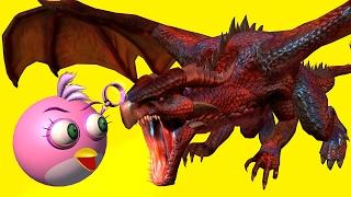 ANGRY BIRDS vs DRAGONS - Part2    3D animated  DRAGON mashup  FunVideoTV - Style ;-))