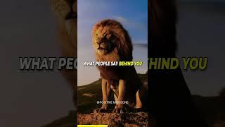 #motivfox #reels #viralvideo #motivation