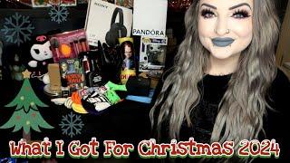 What I Got For Christmas Haul 2024 - Spooky Edition! - LunaLily