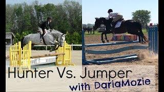 Hunter Vs Jumper | Riding Style & Rules