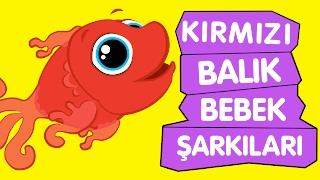 Kırmızı Balık | Bebek Şarkıları | Sevimli Dostlar Çizgi Film Çocuk Şarkıları 2016 | Adisebaba TV