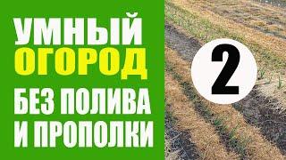 Умный Огород - 2 ч. Не Нужно Поливать И Пропалывать. Урожайный Огород