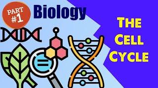 Biology Chapter 12: The Cell Cycle (1/1)