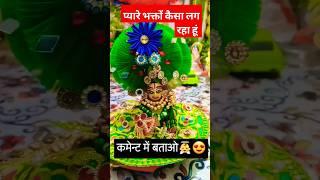 Laddu Gopal VLOGvita #bhakti #trending #youtubeshorts #viralvideo #shorts #laddugopal #laddugopal