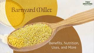 All about Barnyard Millet - Benefits, Nutrition, Uses, and More