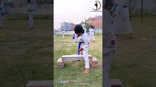 4 Years oldTaekwondo breaking #shorts #spntkd #viral