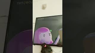 trtcocukkis