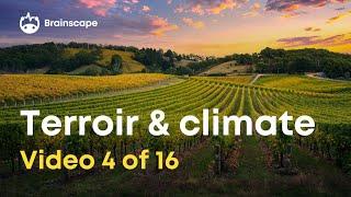 Wine 101: 10 Facts about terroir and its influence on the wines you love