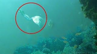 7 Asombrosos Avistamientos Reales De Sirenas