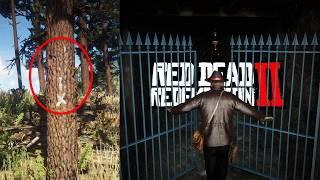 25 Secret Locations in Red Dead Redemption 2