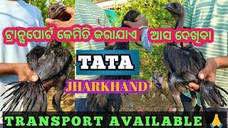 New update -15 !! Best Quality !! Bhupesh bhai !! Tata nagar  !! Jharkhand
