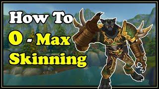 How To 0 - Max Skinning (FULL Guide) In WoW Gold Making