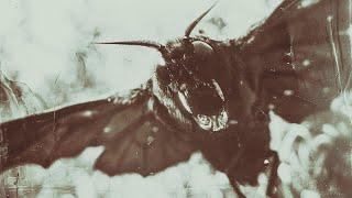 The Terrifying True Story Of The Hythe Mothman