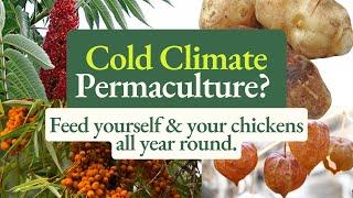 Permaculture for Cold Climates: Food Forests, Medicine, & Chicken Feed All-In-One