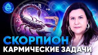 Кармические задачи Скорпиона. Кармические задачи у знаков зодиака в Ведической астрологии