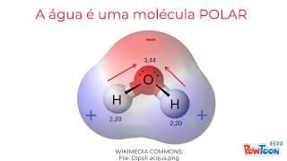 Agua1: Introdução e Estrutura da Água