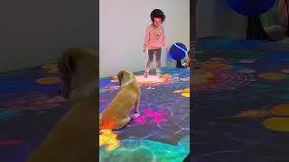 Very Interesting Floor LED screens from her mom's factory, the dog also likes it.