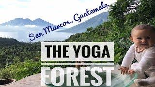 THE YOGA FOREST - SAN MARCOS, GUATEMALA