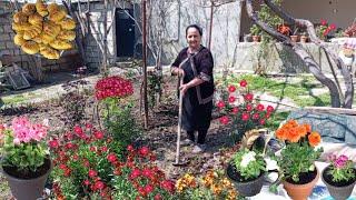 With the arrival of summer, we cleaned our garden and planted flowers that impressed everyone.