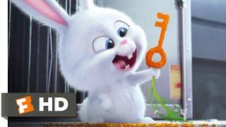 The Secret Life of Pets - Catching The Dog Catcher Scene | Fandango Family