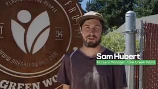 One Green World  - Tour of Our Nursery with Sam Hubert
