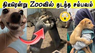 கையும் களவுமாக சிக்கிய விலங்குகள் | என்னடா நடக்குது இங்க  | Hoomans