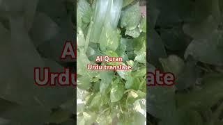 Al Quran#urdu translate#wazifa#surah#ytshort#mahum sheikh#