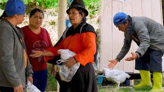 Mi suegra me vino a visitar | Don Lucho