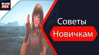 Black Desert Online. Ты новичок?  Советы по быстрой прокачке новичкам. 1-50 за 1 день.