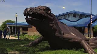 Get to Know Newton's Public Art