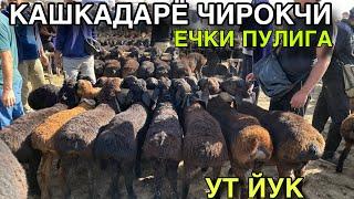 АРЗОНЛАГАН АНЧА! 28 МАЙ КУЙ КУЗИ НАРХЛАРИ 2025.КАШКАДАРЁ ВИЛОЯТИ ЧИРОКЧИ МОЛ БОЗОРИ НАРХЛАРИ 2025.