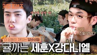 (ENG/SPA/IND) [#CoffeeFriends] Sehun X Kang Daniel Picking Tangerines | #Mix_Clip | #Diggle