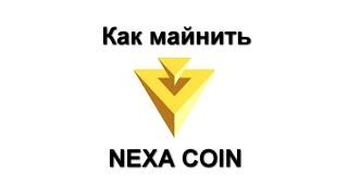 Как майнить NEXA на windows?  Новая профитная монета