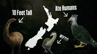 Why New Zealand’s Ancient Birds Were Cooler Than Dinosaurs?!?!?