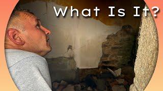 WHY, & WHAT’s it FOR? 
