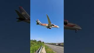 Boeing 787-8 Dremliner Royal Jordanian (Discover Petra Livery) JY-BAH