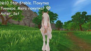 №10 Star Stable. Покупка Тинкера. Мега покупка? Aster_Set