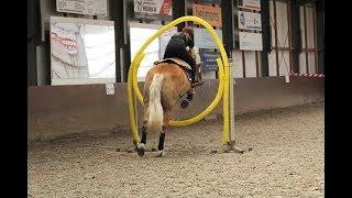 "Don't give up on your dreams" Zorro door een hoepel op show?!