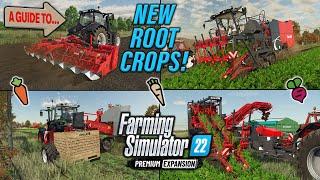 A GUIDE TO… NEW ROOT CROPS (CARROT, PARSNIP, RED BEET)| PREMIUM EXPANSION | INFO SHARING & MORE!