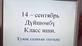 2-класс. Математика Туюк сынык сызык. Сартаев Нарынбек