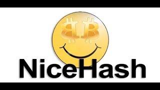 Майнинг nicehash CryptoNightV8, Настройка Hiveos под CryptoNightV8