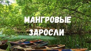 МАНГРОВЫЕ ЛЕСА В ДОМИНИКАНЕ. Лагуна Гри Гри на северном побережье. Доминикана с птичьего полета.