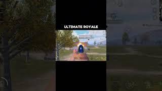 The Real Difference Between Pro and Noob in Royale